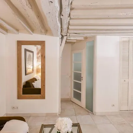 Cosy Appartement en plein Marais-3